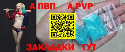 крисы Вязьма