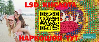 крисы Вязьма