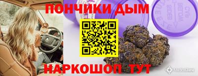 крисы Вязьма