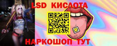крисы Вязьма