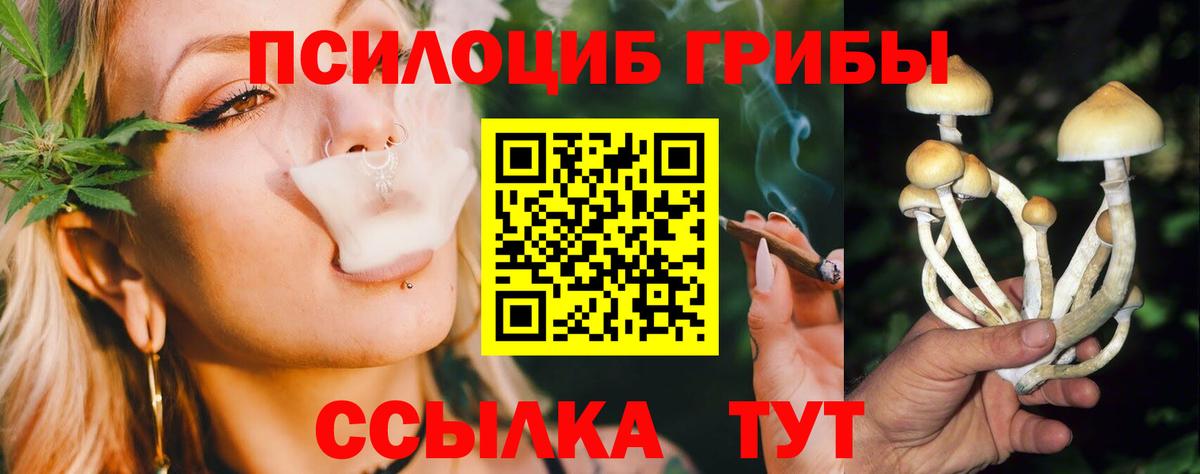 Псилоцибиновые грибы Magic Shrooms Батайск